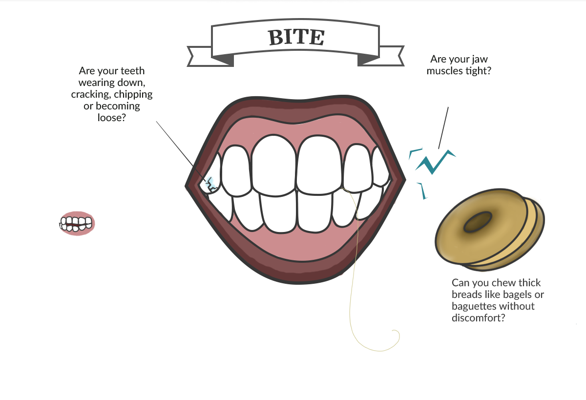 Tour of the Mouth: Bite infographic